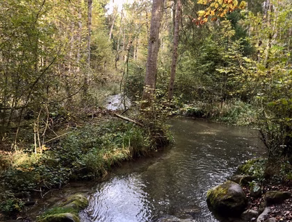 Gluetschbach