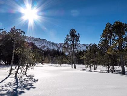 Wanderung_Januar-2026
