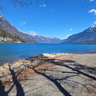 IMG-20250403-WA0004