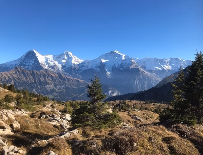 sulwald